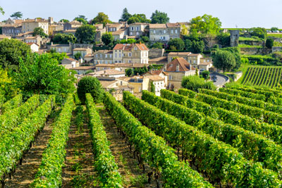 Image de champs - ESG Tourisme Image de champs - ESG Tourisme